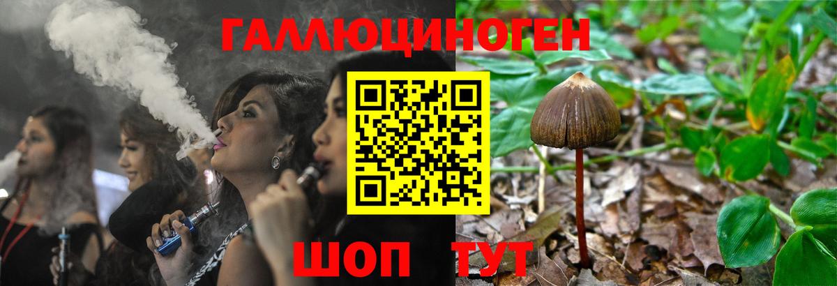 Скопин  Псилоцибиновые грибы MAGIC MUSHROOMS  Вход с VPN 